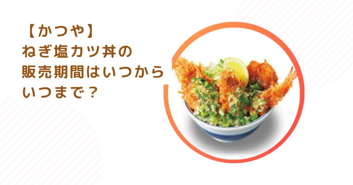 【かつや】ねぎ塩カツ丼